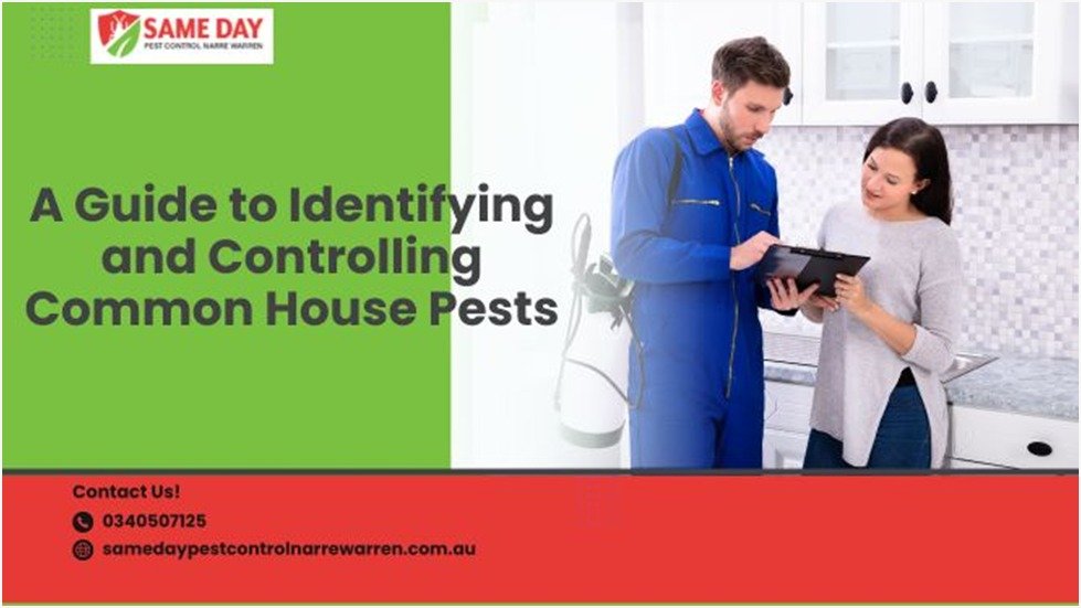 Pest Control Narre Warren